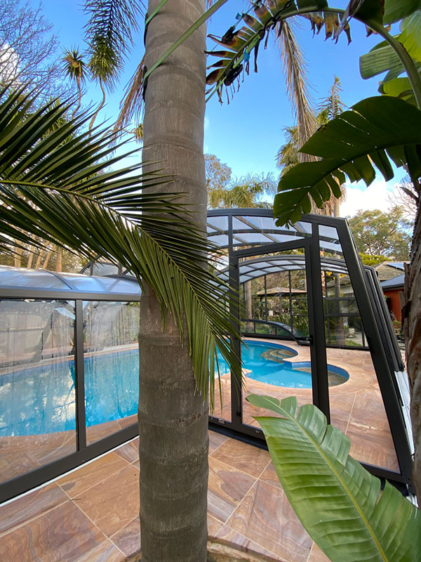 A custom pool enclosure design which fits a spa and accommodates a nearby palm tree